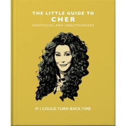 The Little Guide to Cher: If I Could Turn Back Time