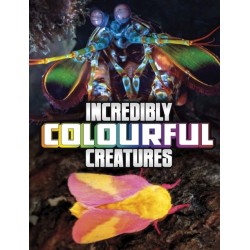 Incredibly Colourful Creatures