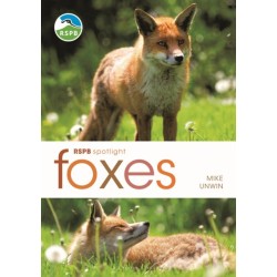 RSPB Spotlight: Foxes
