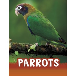 Parrots