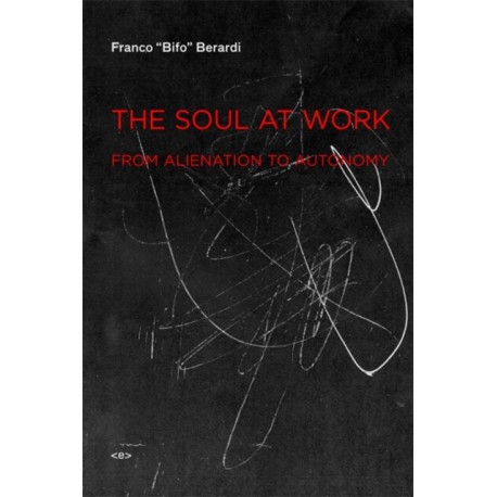 The Soul at Work: From Alienation to Autonomy