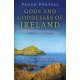 Pagan Portals – Gods and Goddesses of Ireland – A Guide to Irish Deities: A Guide to Irish Deities