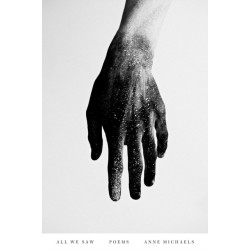 All We Saw: Poems