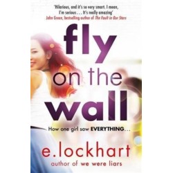 Fly on the Wall: From the author of the unforgettable bestseller, We Were Liars