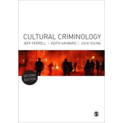 Cultural Criminology: An Invitation