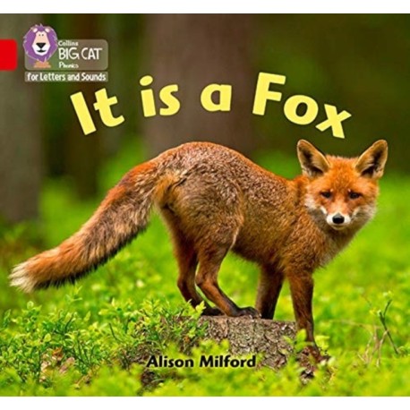 It is a Fox: Band 02b/Red B