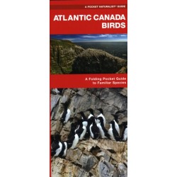 Atlantic Canada Birds: A Folding Pocket Guide to Familiar Species