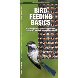 Bird Feeding Basics: An Introduction to Feeders, Feeds & Common Backyard Birds