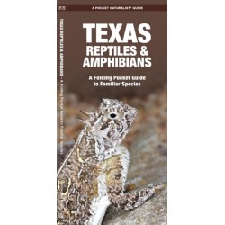 Texas Reptiles & Amphibians: A Folding Pocket Guide to Familiar Species