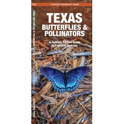 Texas Butterflies & Pollinators: A Folding Pocket Guide to Familiar Species