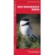 New Brunswick Birds: A Folding Pocket Guide to Familiar Species
