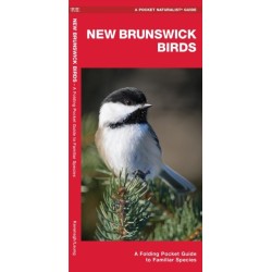 New Brunswick Birds: A Folding Pocket Guide to Familiar Species