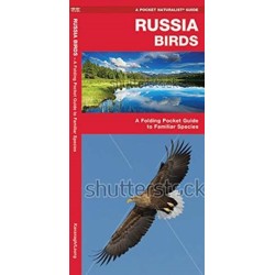 Russia Birds: A Folding Pocket Guide to Familiar Species
