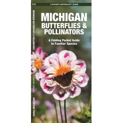 Michigan Butterflies & Pollinators: A Folding Pocket Guide to Familiar Species