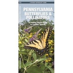 Pennsylvania Butterflies & Pollinators: A Folding Pocket Guide to Familiar Species
