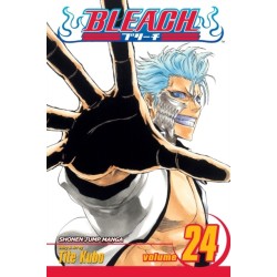Bleach, Vol. 24: Immanent God Blues