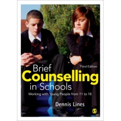 Brief Counselling in Schools: Working with Young People from 11 to 18