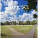 Wild About Battersea: Between the Commons