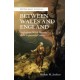 Between Wales and England: Anglophone Welsh Writing of the Eighteenth Century