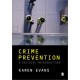 Crime Prevention: A Critical Introduction