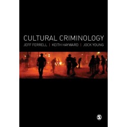 Cultural Criminology: An Invitation