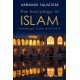 The Sociology of Islam: Knowledge, Power and Civility
