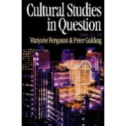 Cultural Studies in Question