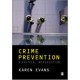 Crime Prevention: A Critical Introduction