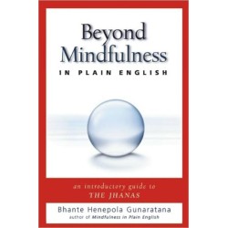 Beyond Mindfulness in Plain English: An Introductory Guide to Deeper States of Meditation