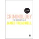 Criminology: The Essentials