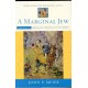 A Marginal Jew: Rethinking the Historical Jesus, Volume V: Probing the Authenticity of the Parables