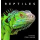 Reptiles: Deluxe Series