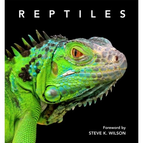 Reptiles: Deluxe Series