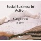 Social Business in Action - Trigonos in Eryri: Trigonos in Eryri