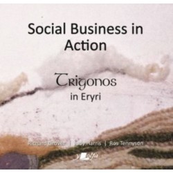 Social Business in Action - Trigonos in Eryri: Trigonos in Eryri
