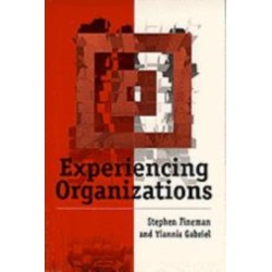 Experiencing Organizations