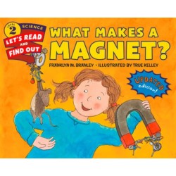 What Makes a Magnet?