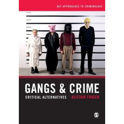 Gangs & Crime: Critical Alternatives