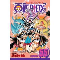 One Piece, Vol. 55