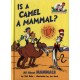 The Is a Camel a Mammal?