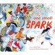 One Small Spark: A Tikkun Olam Story