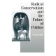 Radical Conservatism and the Future of Politics
