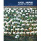Nabil Anani: Palestine, Land and People