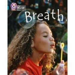 Breath: Band 13/Topaz