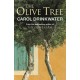The Olive Tree of Provence