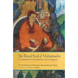 The Royal Seal of Mahamudra, Volume One: A Guidebook for the Realization of Coemergence