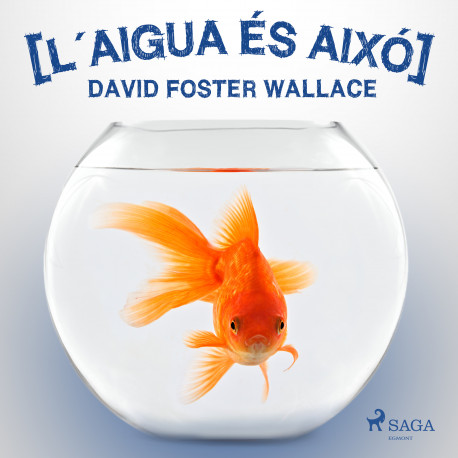 L´aigua és aixó