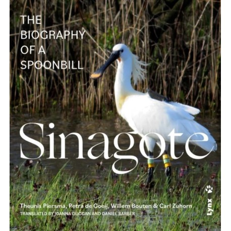 Sinagote, the biography of a spoonbill