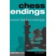 Chess Endings: Essential Knowledge