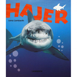 Hajer